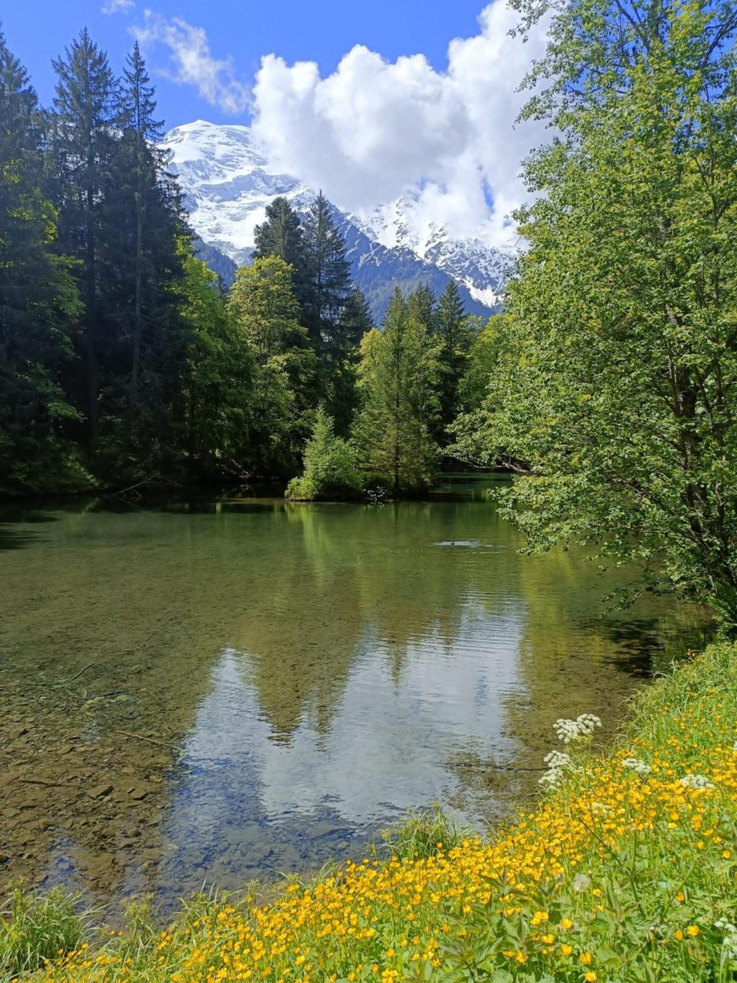 Des Gaillands - Renove - Balcon Avec Vues Apartamento Chamonix Mont Blanc